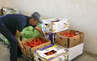 «Частнику почему-то выгодно» – Лукашенко назвал «черепашьими» темпы роста в сфере заготовок