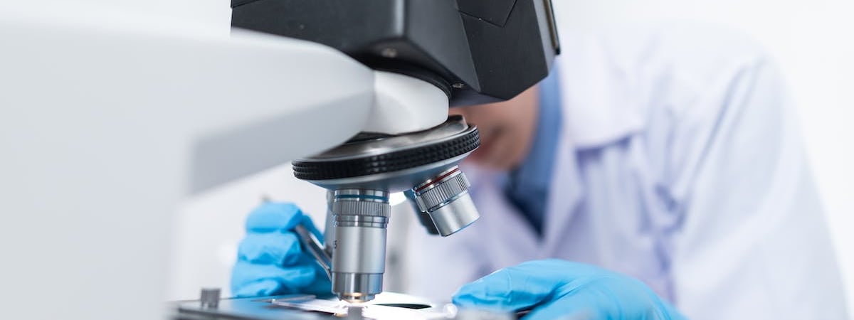 Шульман: При отсутствии результатов на фронте может потребоваться новость об объединении с Беларусью