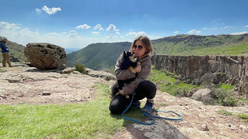 Эта собака посетила 12 стран ‒ вот сколько стоит путешествовать с питомцем
