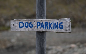 Орден Матери будут выдавать только при наличии «высоких нравственных качеств»