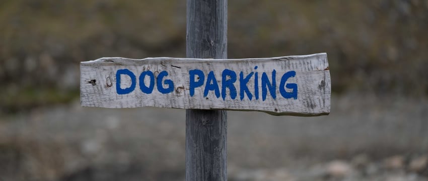 Орден Матери будут выдавать только при наличии «высоких нравственных качеств»