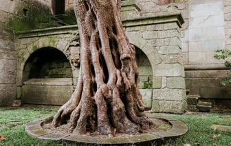 Открытие памятника Никите Куконенко в Полоцке