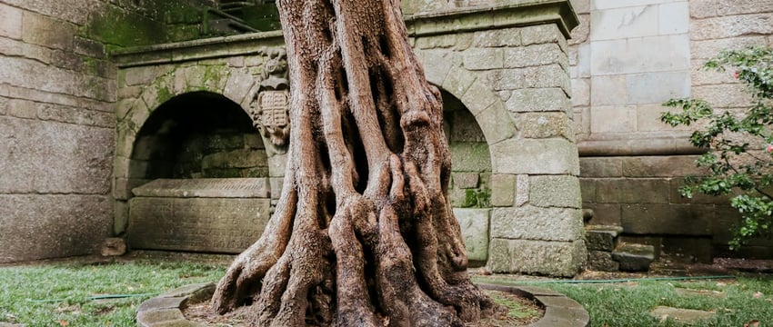 Открытие памятника Никите Куконенко в Полоцке