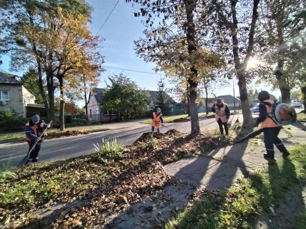 В Бресте полным ходом идёт уборка опавшей листвы и мусора с газонов