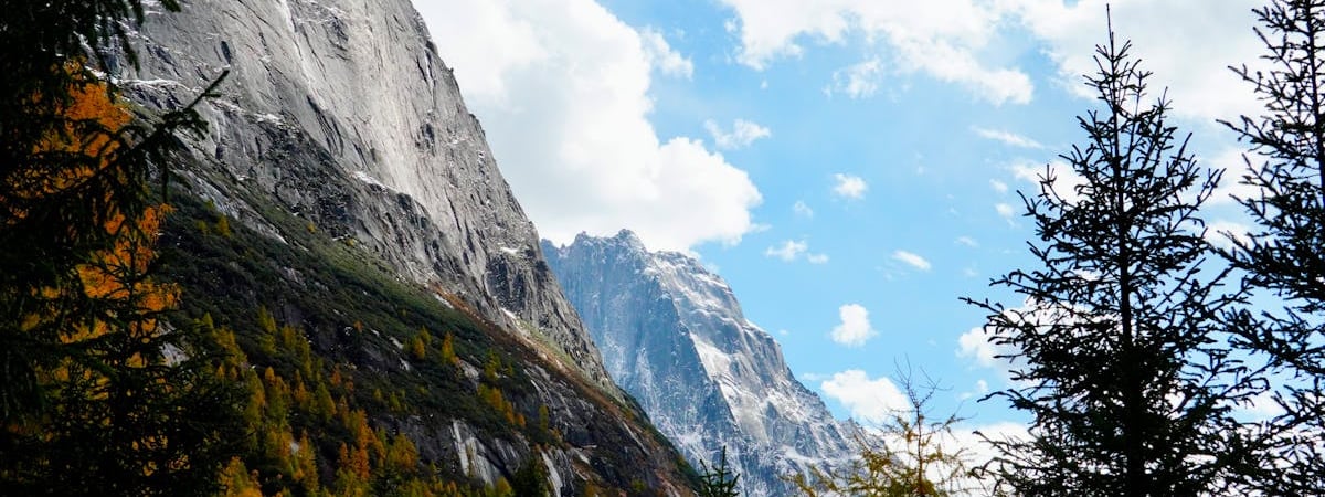 Китайцы подали жалобу в ВТО из-за высоких пошлин ЕС на ввоз электромобилей из КНР