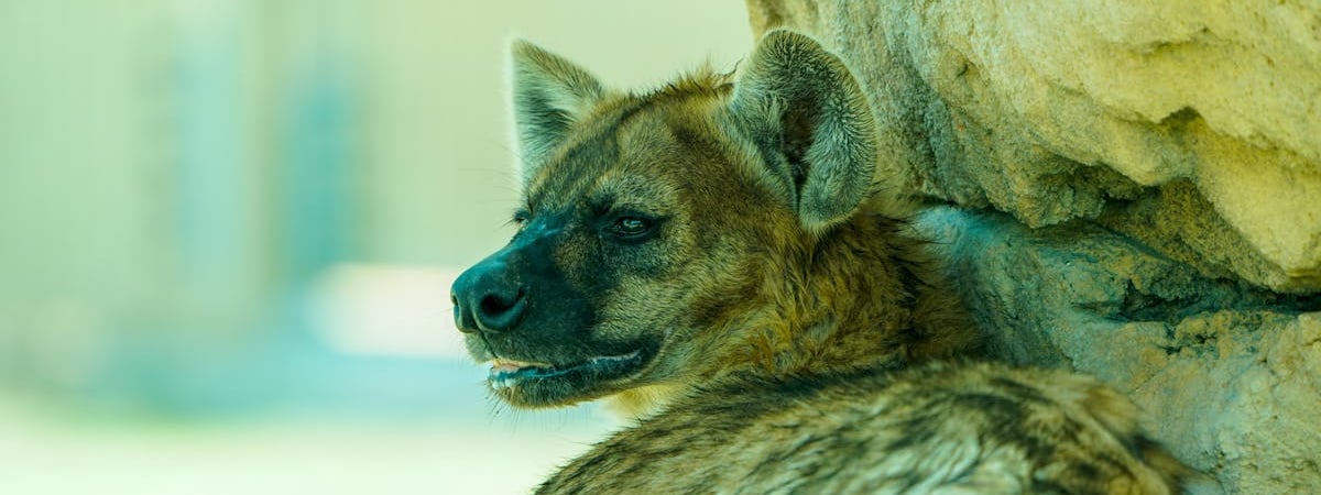 Лукашенко хочет наделить глав райисполкомов полномочиями назначать руководителей частных структур