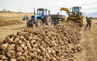 КГК предложил пожаловаться на закупку сельхозпродукции у белорусов. Когда звонить?