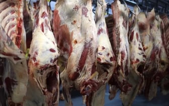 Расследование: мясо из скотомогильников, отмывка с помощью Fairy и сода