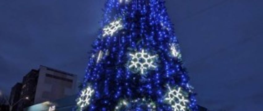 Рассказываем, где ещё в Бресте установили новогодние ёлки