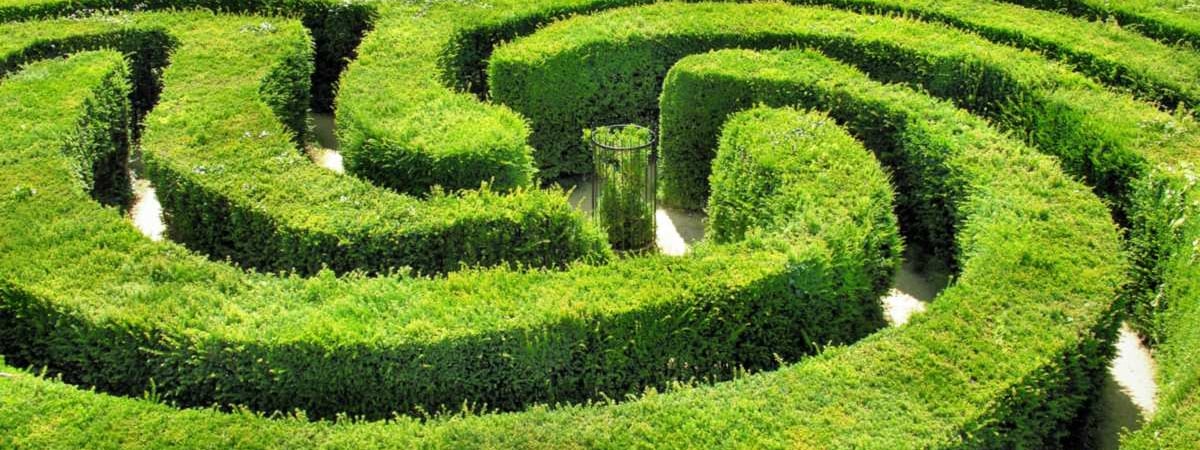 В Гродно появится зеленый лабиринт — где и что это такое