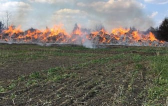 15 тонн соломы сгорело в Дрогичинском районе