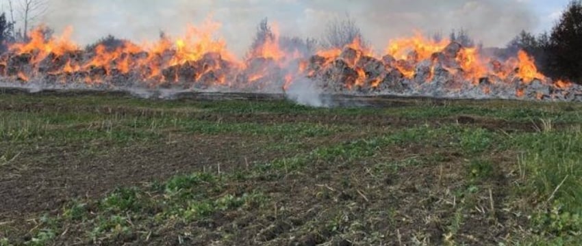 15 тонн соломы сгорело в Дрогичинском районе