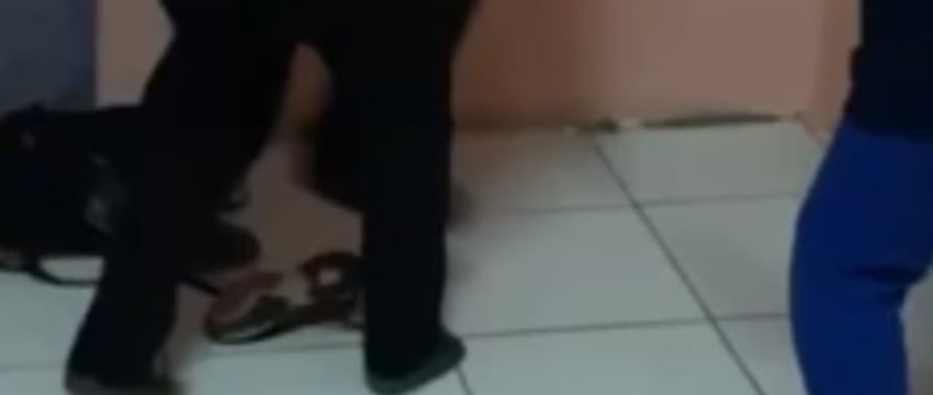 В Брестской области подростки создали чат, где публиковали кадры издевательств над школьниками — подробности и видео