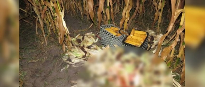 Охотник застрелил односельчанина в кукурузе под Микашевичами