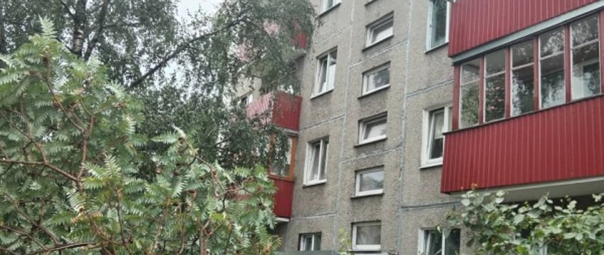 На выходных в Бресте упало 6 деревьев