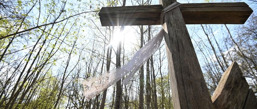 Организация доступа на кладбища в зонах отчуждения в Гомеле