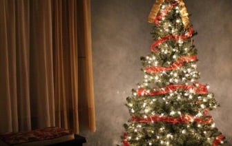 Белорусы становятся жертвой мошенников с фейковыми страницами. Не попадитесь на эти уловки