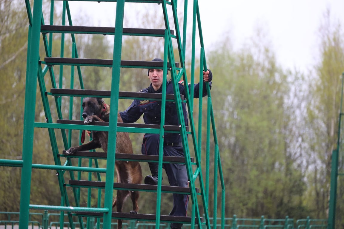 Триумфом брестчан завершились соревнования кинологов