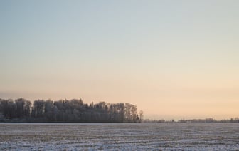 В странах Балтии заработал единый резерв восстановления частоты