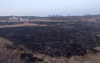 За окном еще зима, а люди уже жгут мусор – в Гродненской области первый в году пожар из-за растительности