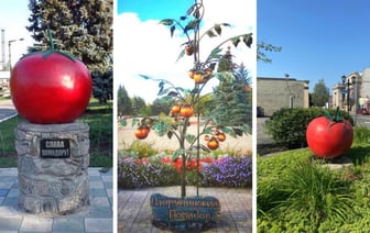 В Беларуси решили установить памятник помидору. В каком городе?
