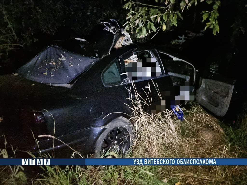 Ребенок погиб в аварии с лосем