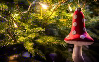 Этот соус из лисичек с курицей превратит макароны в деликатес. Как приготовить? — Полезно