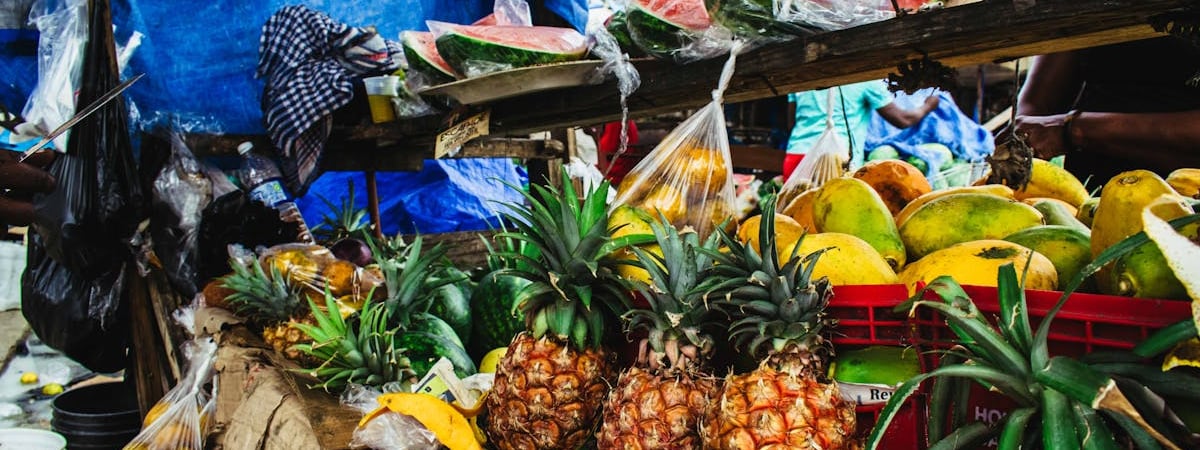 Торговля сельхозпродукцией между Украиной и ЕС в 2024 году достигла рекордных показателей