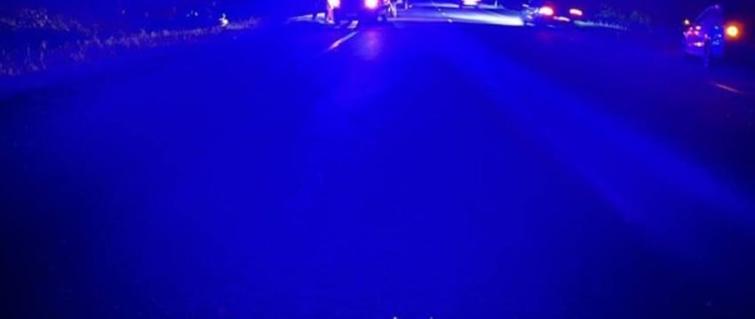 Трагедия на трассе М8: водитель Volkswagen погиб при наезде на лося