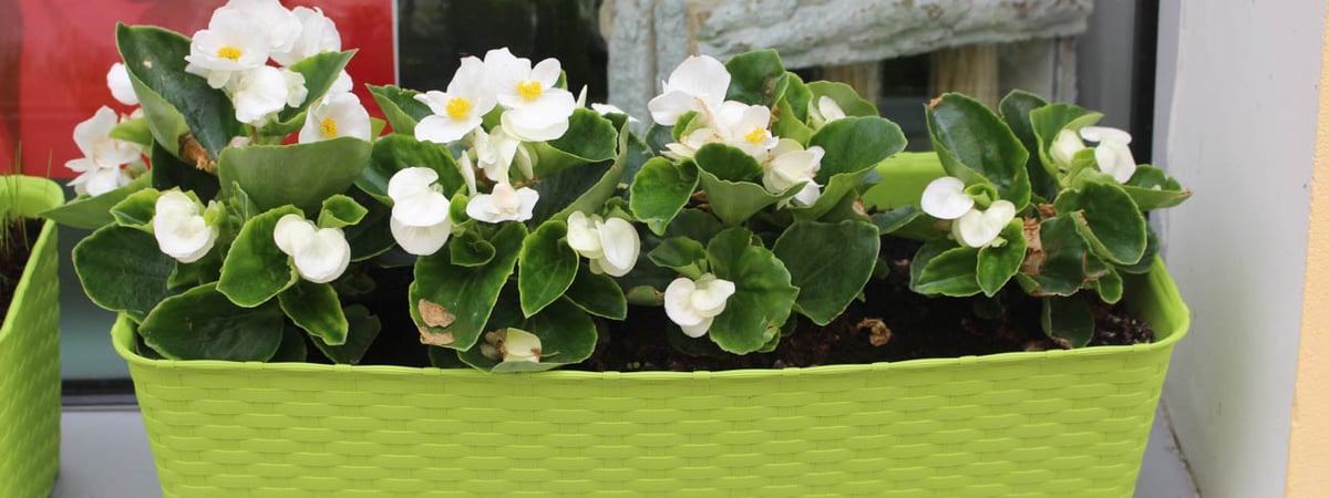 Жарко и солнечно — погода в Гродно на выходные