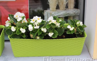 Жарко и солнечно — погода в Гродно на выходные