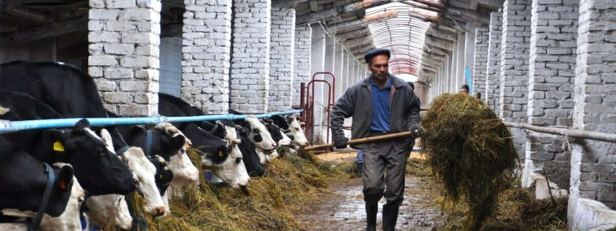 Зачислят ли в тунеядцы фермера, который на месяц уехал из Беларуси? Адвокаты ответили — Полезно