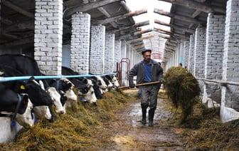 Зачислят ли в тунеядцы фермера, который на месяц уехал из Беларуси? Адвокаты ответили — Полезно