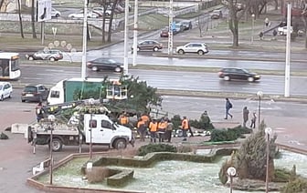 Ветер опрокинул ёлку в Бресте. Вспоминается аналогичное происшествие в Лунинце