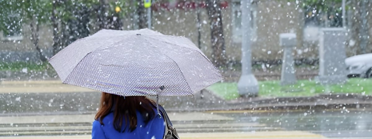 Снег в середине апреля? Синоптики пообещали белорусам «дискомфортную» неделю с грозами и заморозками — Фото