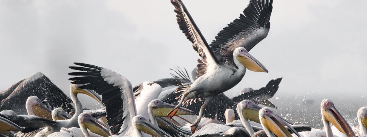 В Литве начали расследование в отношении беларуса из‑за его слов в интервью о литовцах