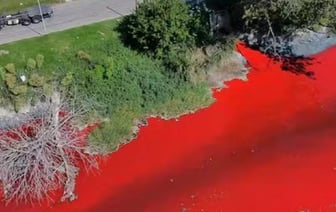 Кровавая река появилась в пригороде Буэнос-Айреса