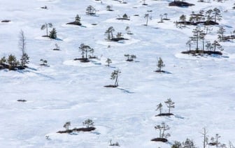 7 красивейших мест для отдыха на белорусской природе в феврале