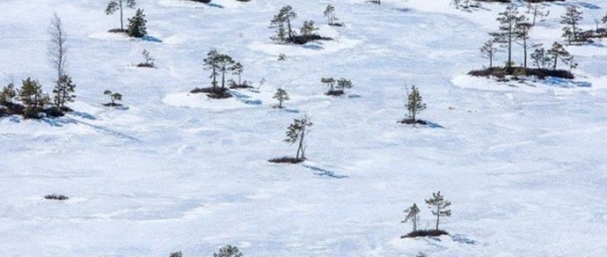 7 красивейших мест для отдыха на белорусской природе в феврале