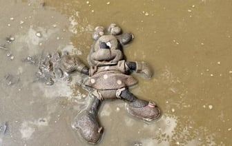 Школьница пустила незнакомца в туалет. Парень оказался педофилом