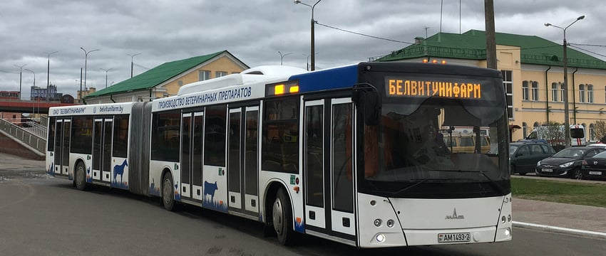 С субботы из Витебска начнут ходить автобусы к дачным поселкам. Узнали расписание