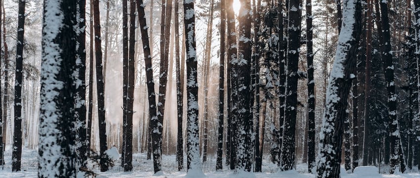 Россия нанесла удар по вокзалу в Херсоне, когда люди ждали эвакуационного поезда