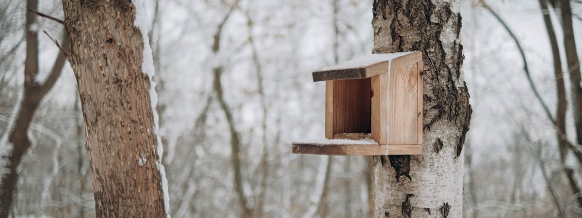 Россия ночью запустила по Украине боле 130 беспилотников