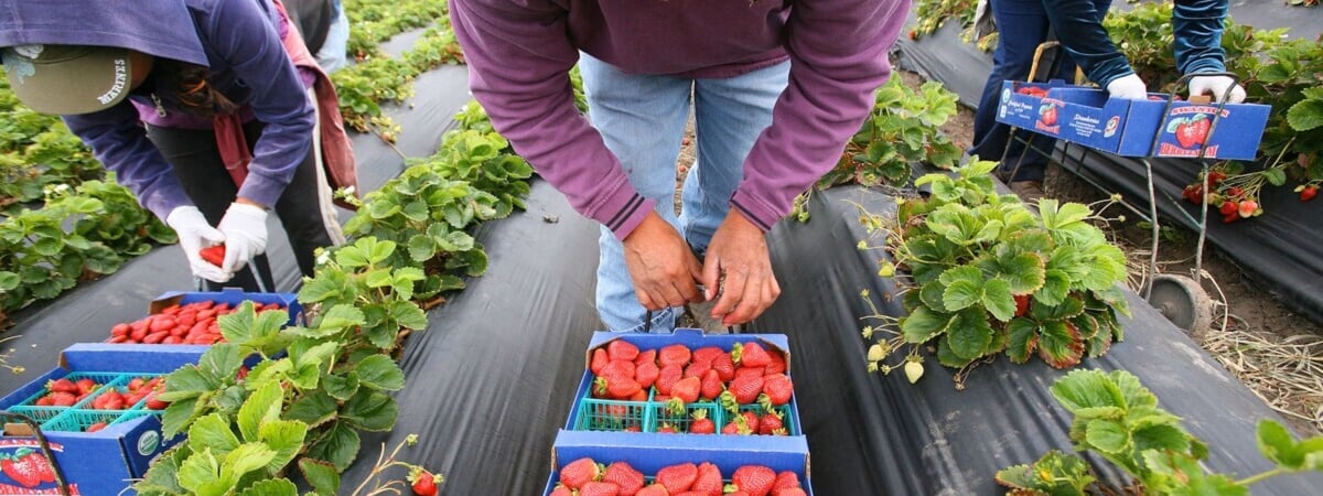 Белорусским предпринимателям предложили кредиты под 8%. Но есть нюанс