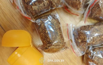 Возле границы задержали литовца с особо опасными психотропами — он пытался сбежать от уголовного преследования