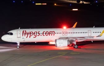 Турецкий лайнер экстренно сел из-за криков «Помогите!» из грузового отсека