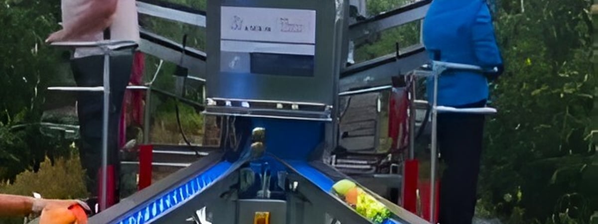 В Минтруда показали, за что готовы платить белорусам от 29 до 80 рублей в день на подработке в поле — Видео