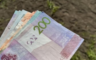 Цена участка у Каменецкого кольца выросла в 21 раз на торгах