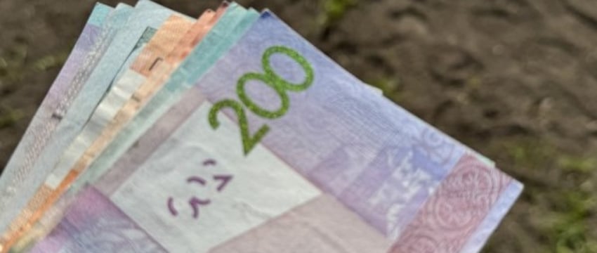 Цена участка у Каменецкого кольца выросла в 21 раз на торгах