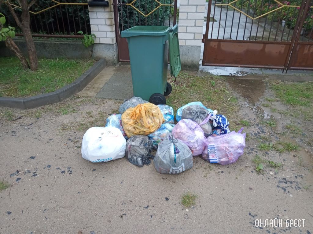 Фото носит иллюстративный характер